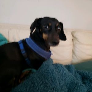 Meet your Posher, Ellyn